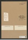 Biddulphia moronensis Cleve (de-Toni-Nr.: Genus 123, Species 3469) Zeichnungen Sammlung Grunow Nr. 6972 (NHMW-BOT-W0375869)